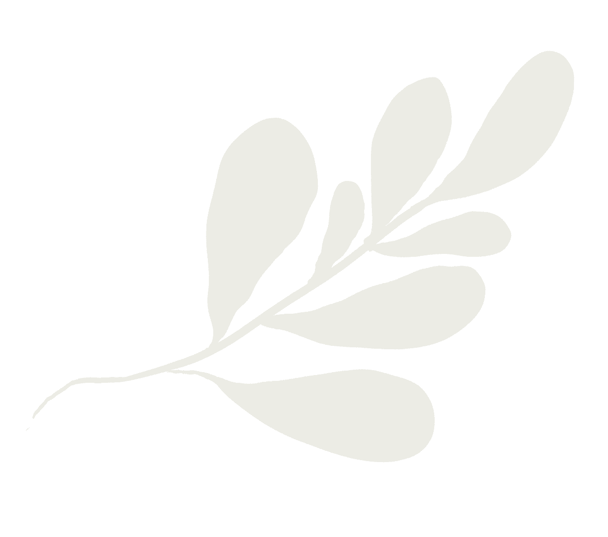 demo-attachment-23-4 demo-attachment-23-4